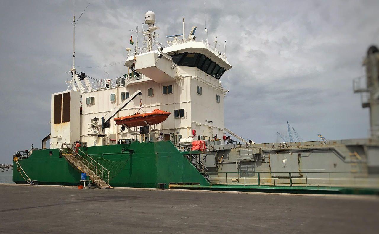 Bulk cargo handling at port